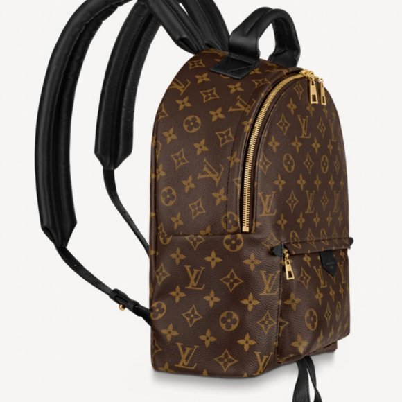 PALM SPRINGS MM Louis Vuitton Backpack - Picture 3 of 6